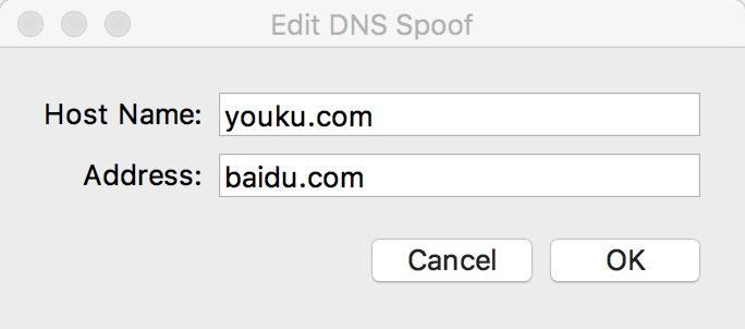 Charles-DNS-Spoofing